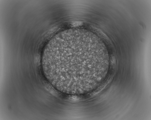X0000112430565200909111032