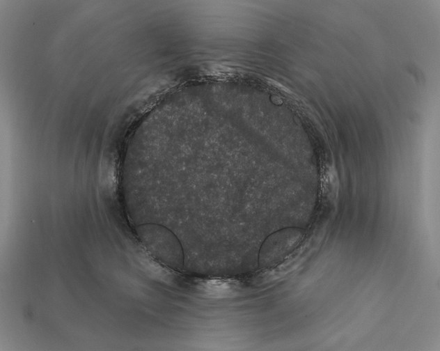 X0000112430566200909111032