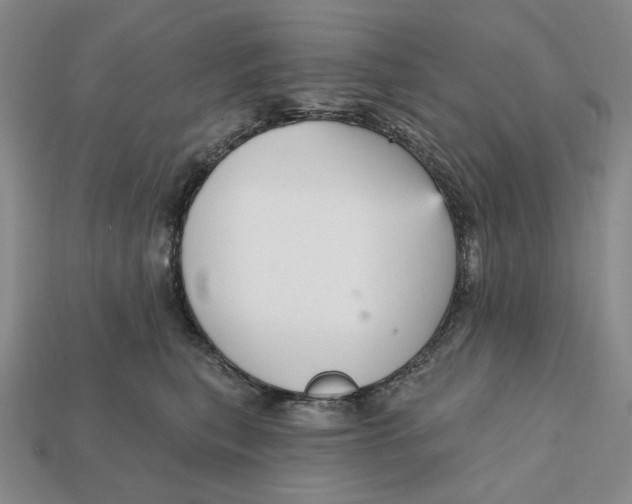 X0000112430567200909111032