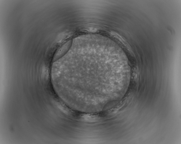 X0000112430568200909111032