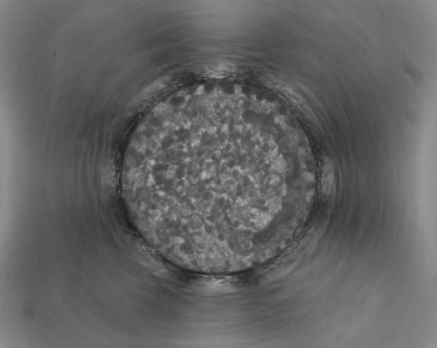 X0000112430569200909111032