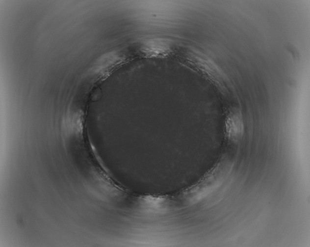 X0000112430570200909111032