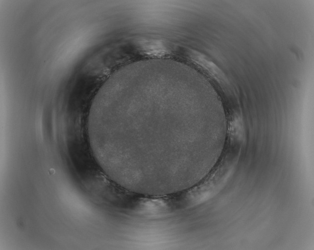X0000112430572200909111032