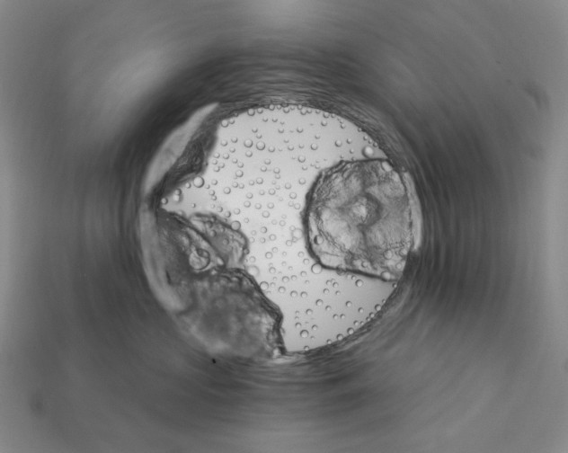 X0000112430573200909111032