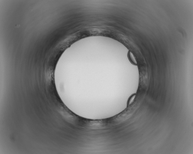 X0000112430574200909111032
