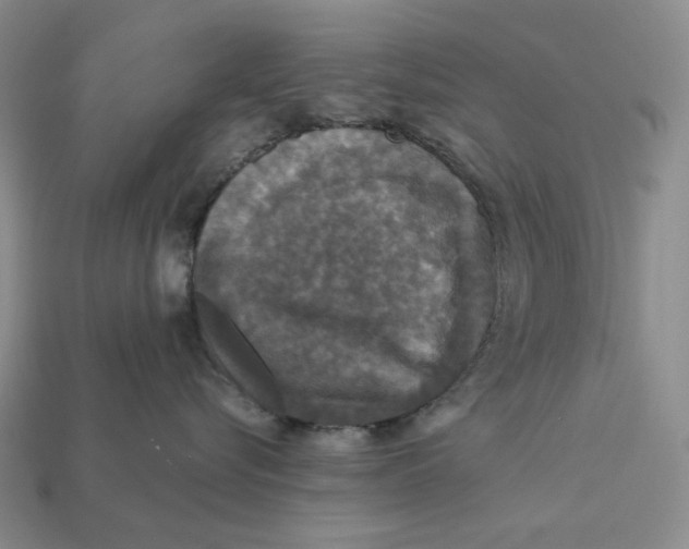 X0000112430576200909111032