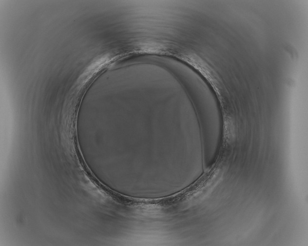 X0000112430577200909111032