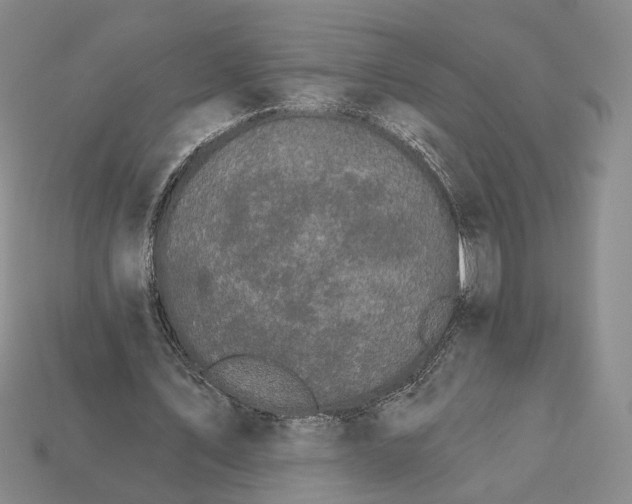 X0000112430579200909111032
