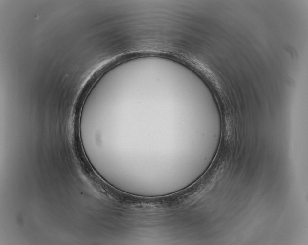 X0000112430580200909111032