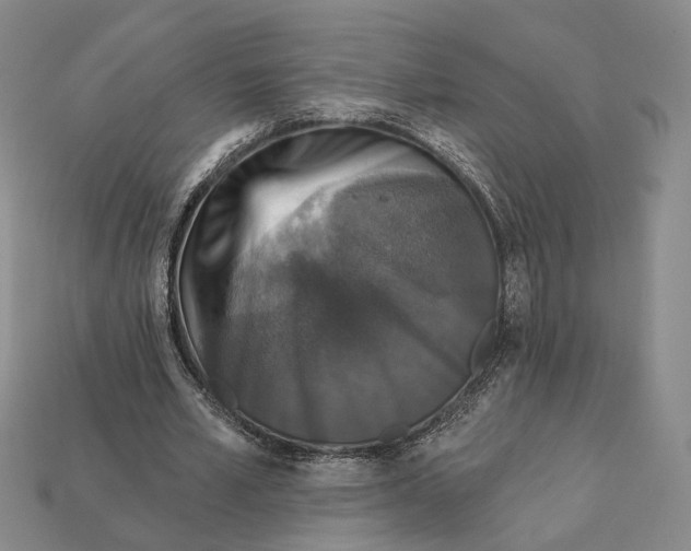 X0000112430581200909111032