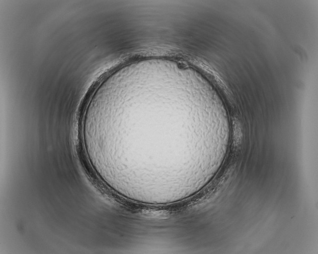 X0000112430582200909111032