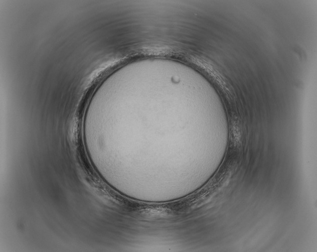 X0000112430583200909111032