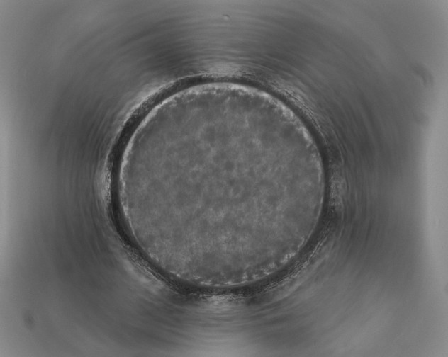 X0000112430584200909111032