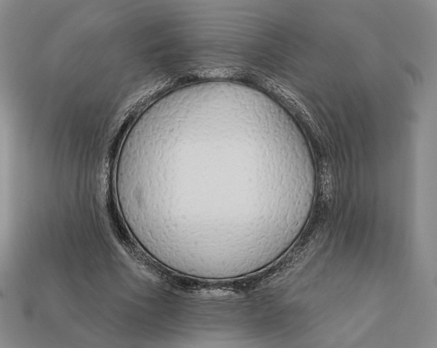 X0000112430586200909111031