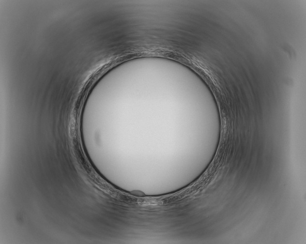 X0000112430587200909111031