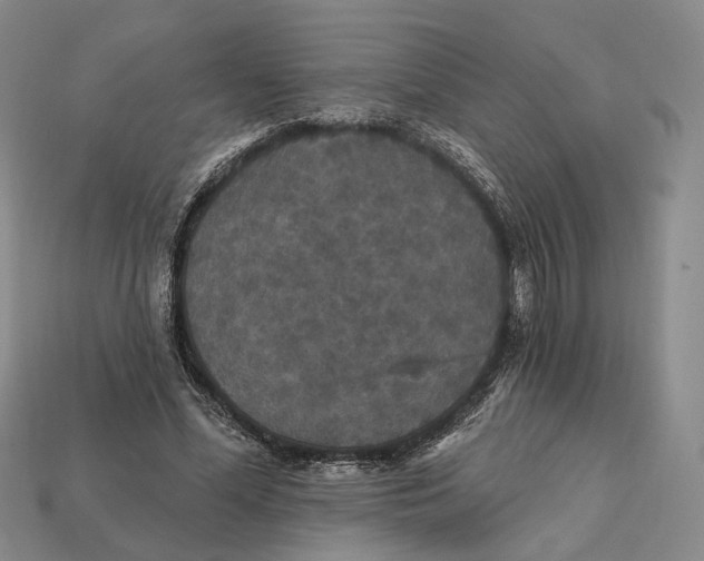 X0000112430588200909111031