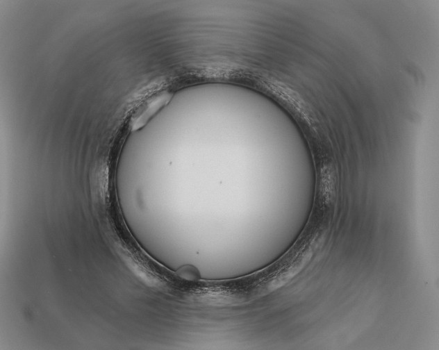 X0000112430589200909111031