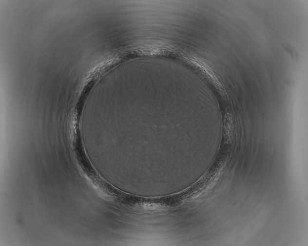 X0000112430590200909111031