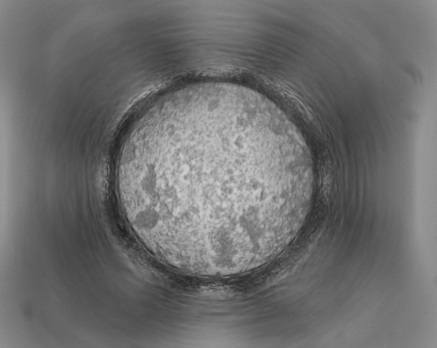 X0000112430591200909111031