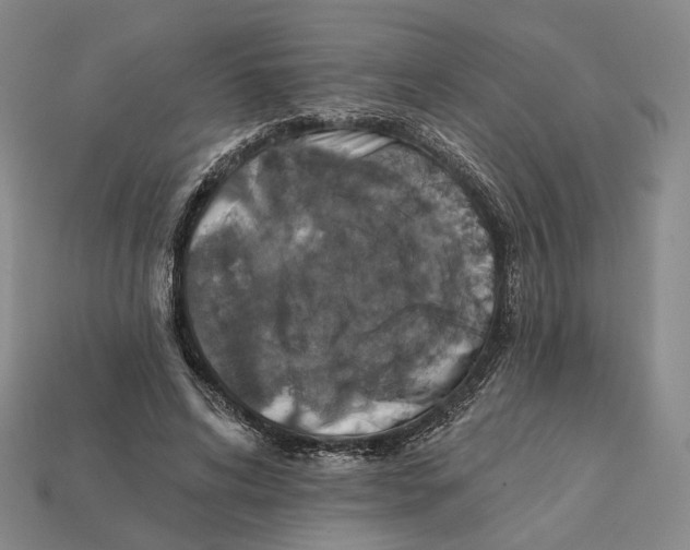 X0000112430592200909111031