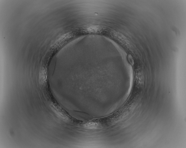 X0000112430593200909111031