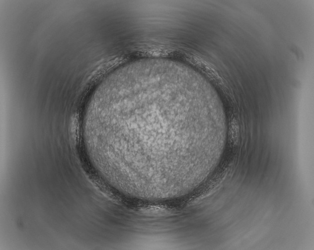 X0000112430594200909111031