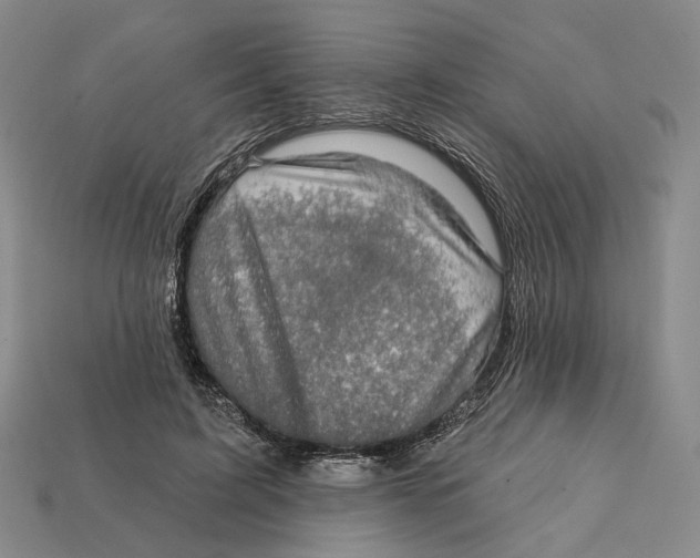 X0000112430595200909111031