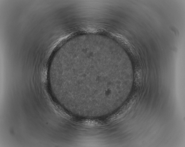 X0000112430596200909111031