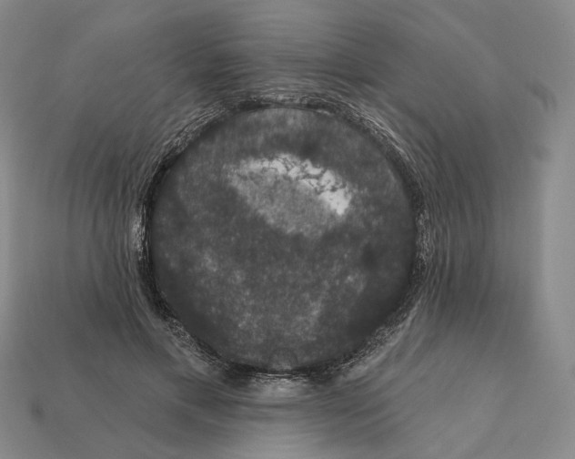 X0000112430597200909111031