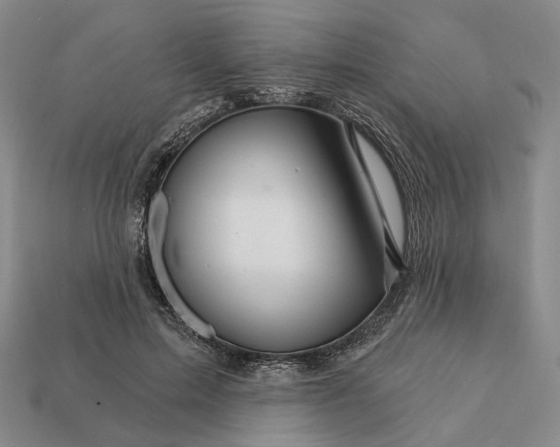 X0000112430599200909111031