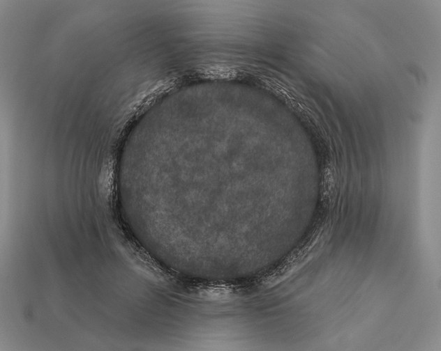 X0000112430600200909111031