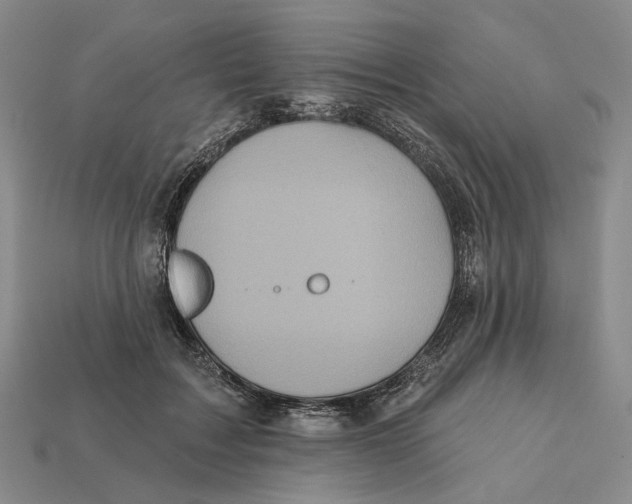X0000112430603200909111031