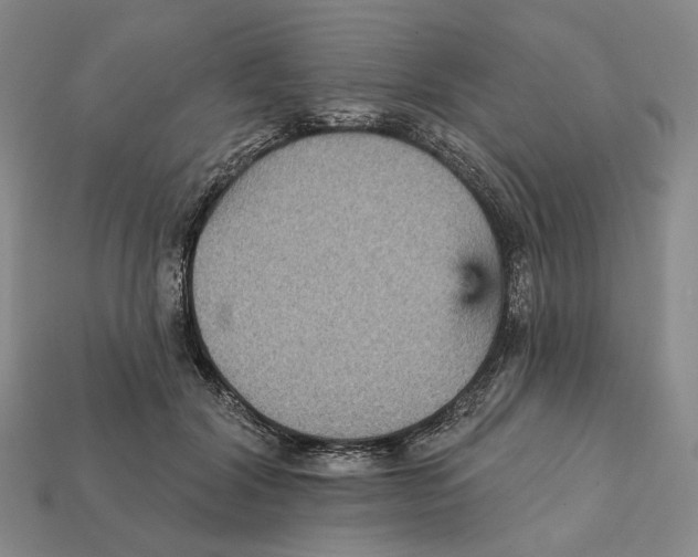 X0000112430604200909111031