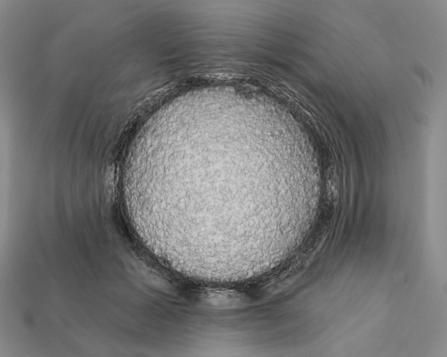 X0000112430605200909111031