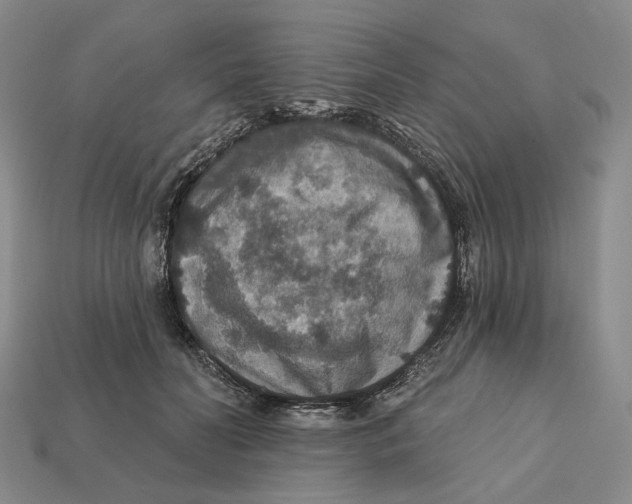 X0000112430606200909111031
