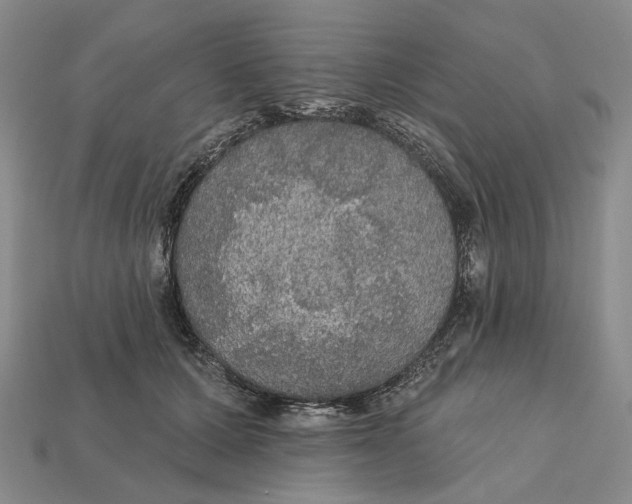 X0000112430607200909111031