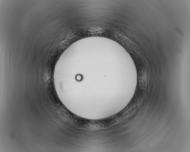 X0000112430608200909111031