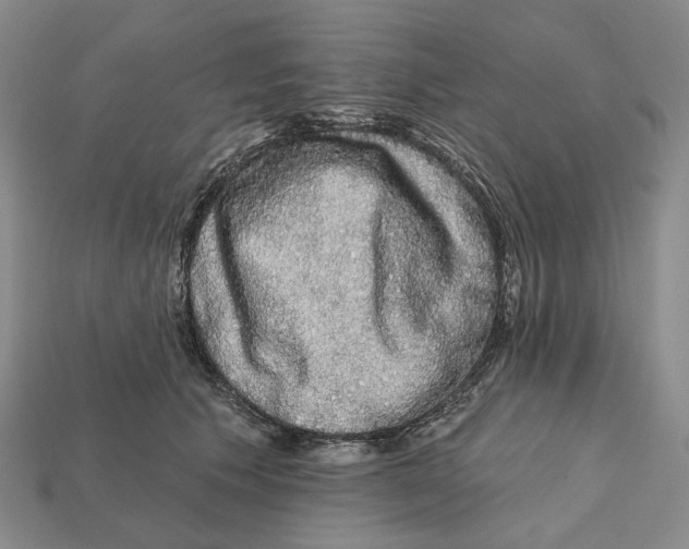 X0000112430609200909111031