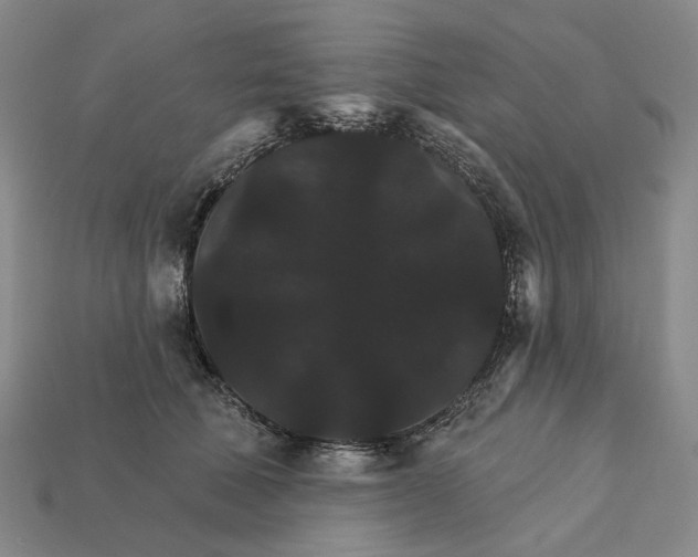 X0000112430610200909111031