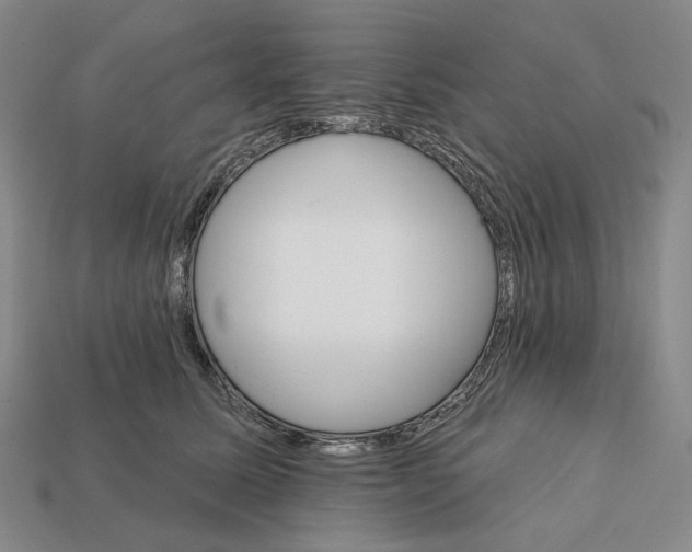X0000112430611200909111031