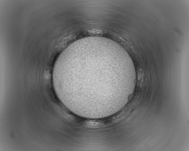X0000112430614200909111031