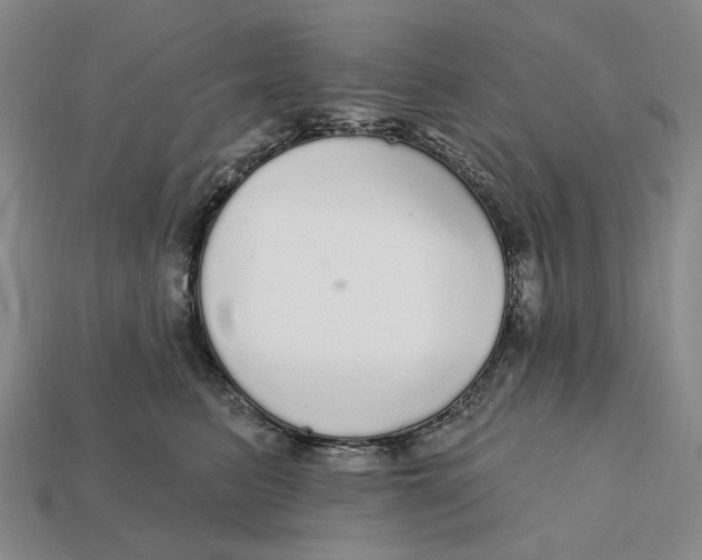 X0000112430615200909111031