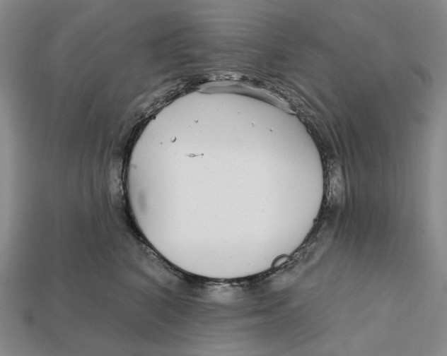 X0000112430616200909111031