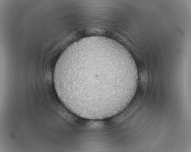 X0000112430617200909111031