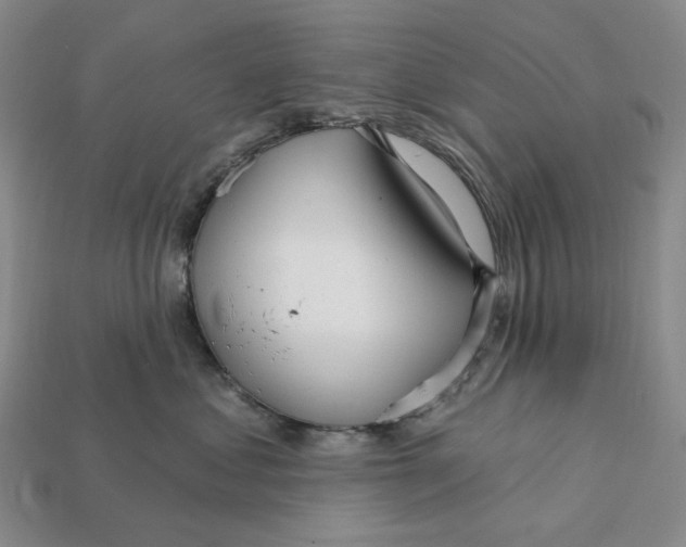 X0000112430621200909111031
