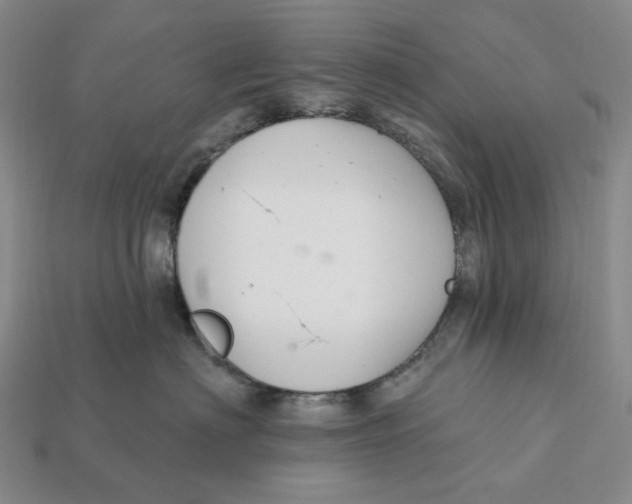 X0000112430622200909111031