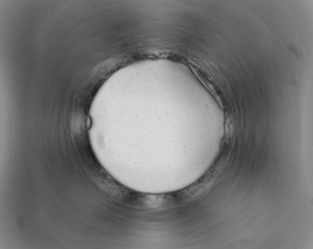 X0000112430623200909111031