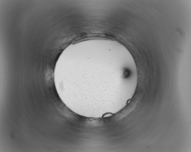 X0000112430624200909111031