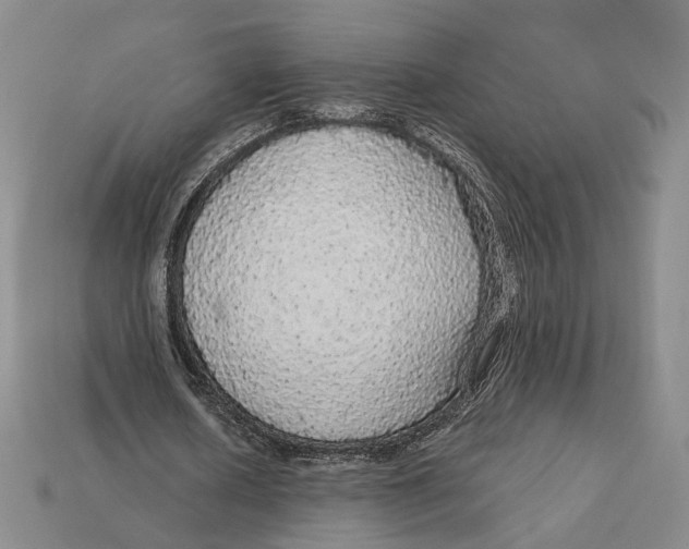X0000112430626200909111030