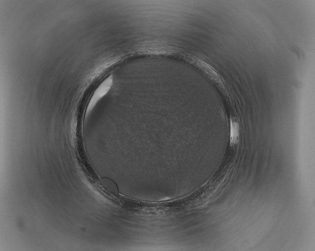 X0000112430627200909111030